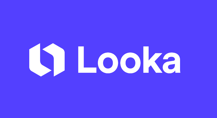 Looka: AI brand management